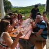 Half-day Countryside Wine tasting with Lunch near Vienna